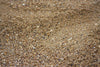 Primary Sharp Sand - Dunmow Group